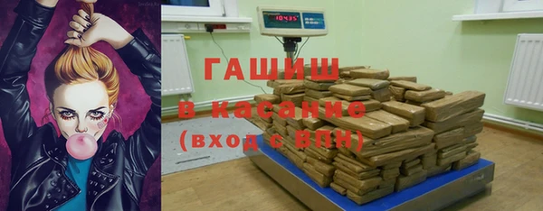 шишки Снежногорск