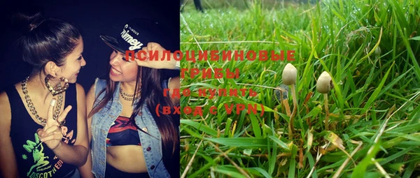 амф Сосновый Бор