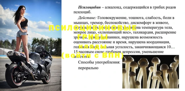 шишки Снежногорск