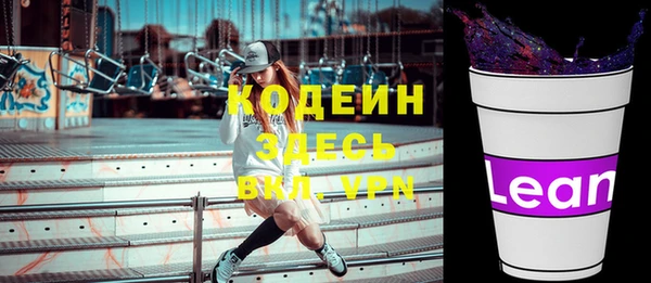 шишки Снежногорск