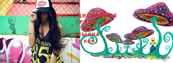 амф Сосновый Бор