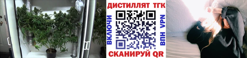 ТГК гашишное масло Монино