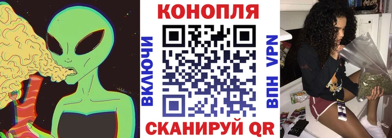 Каннабис планчик Монино